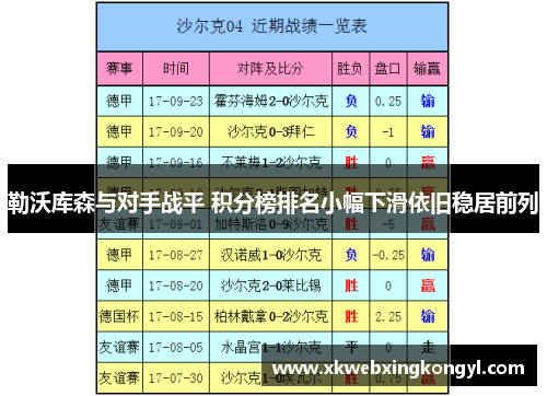 勒沃库森与对手战平 积分榜排名小幅下滑依旧稳居前列