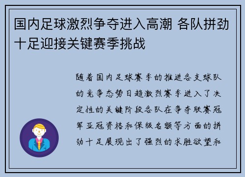 国内足球激烈争夺进入高潮 各队拼劲十足迎接关键赛季挑战
