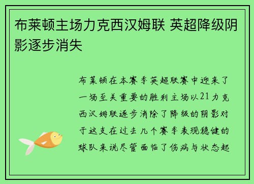 布莱顿主场力克西汉姆联 英超降级阴影逐步消失