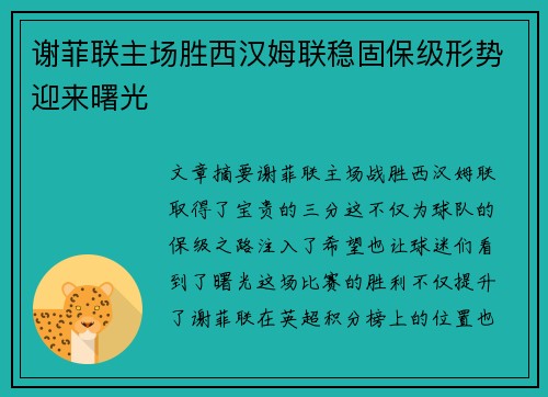 谢菲联主场胜西汉姆联稳固保级形势迎来曙光